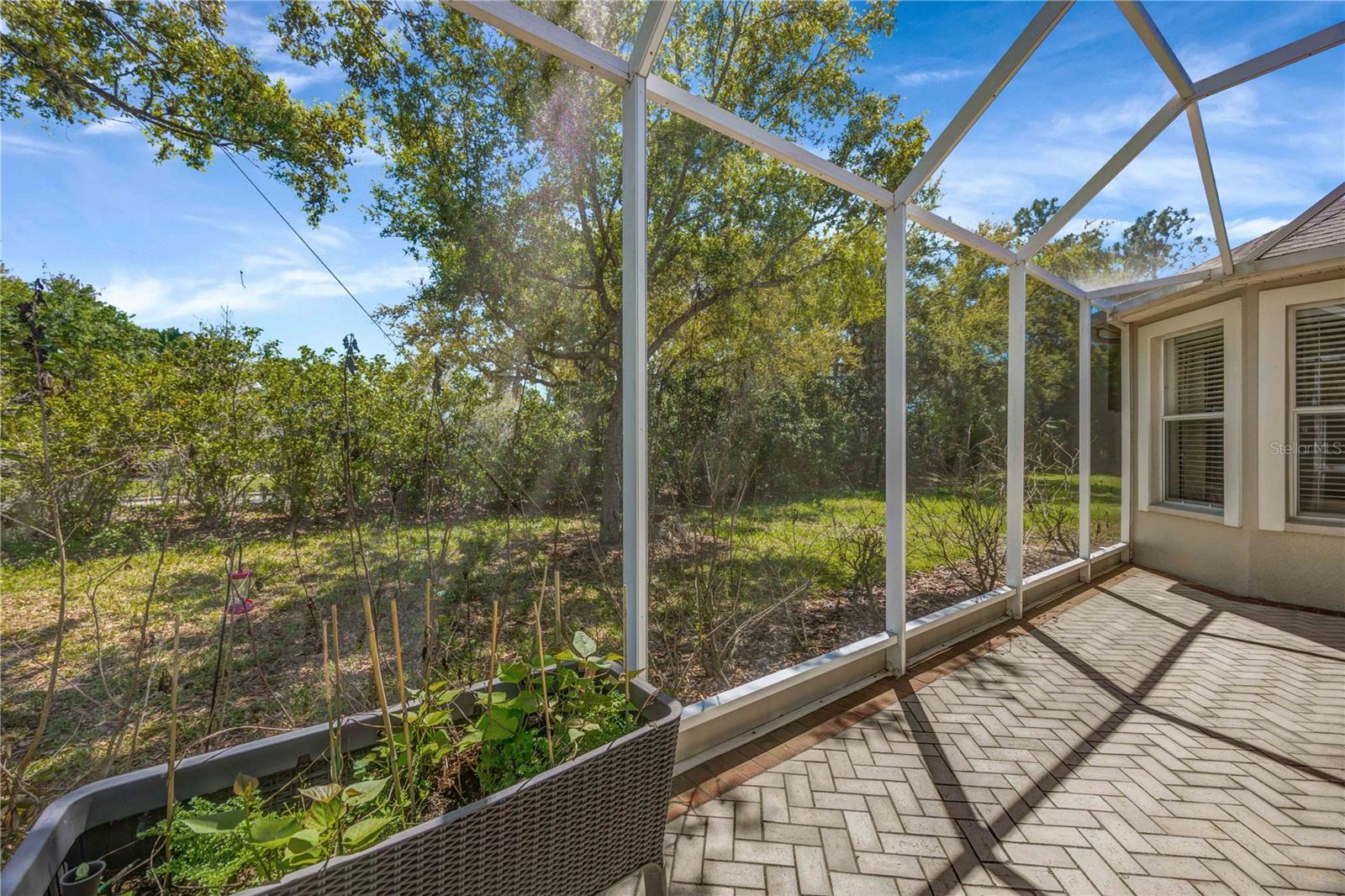 3707 FAWNMIST DR, WESLEY CHAPEL, FL, 33544