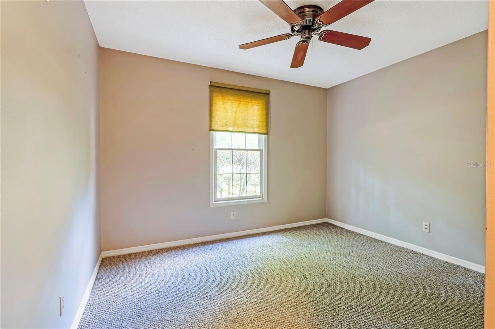 226 CROOKED TREE TRL, DELAND, FL, 32724