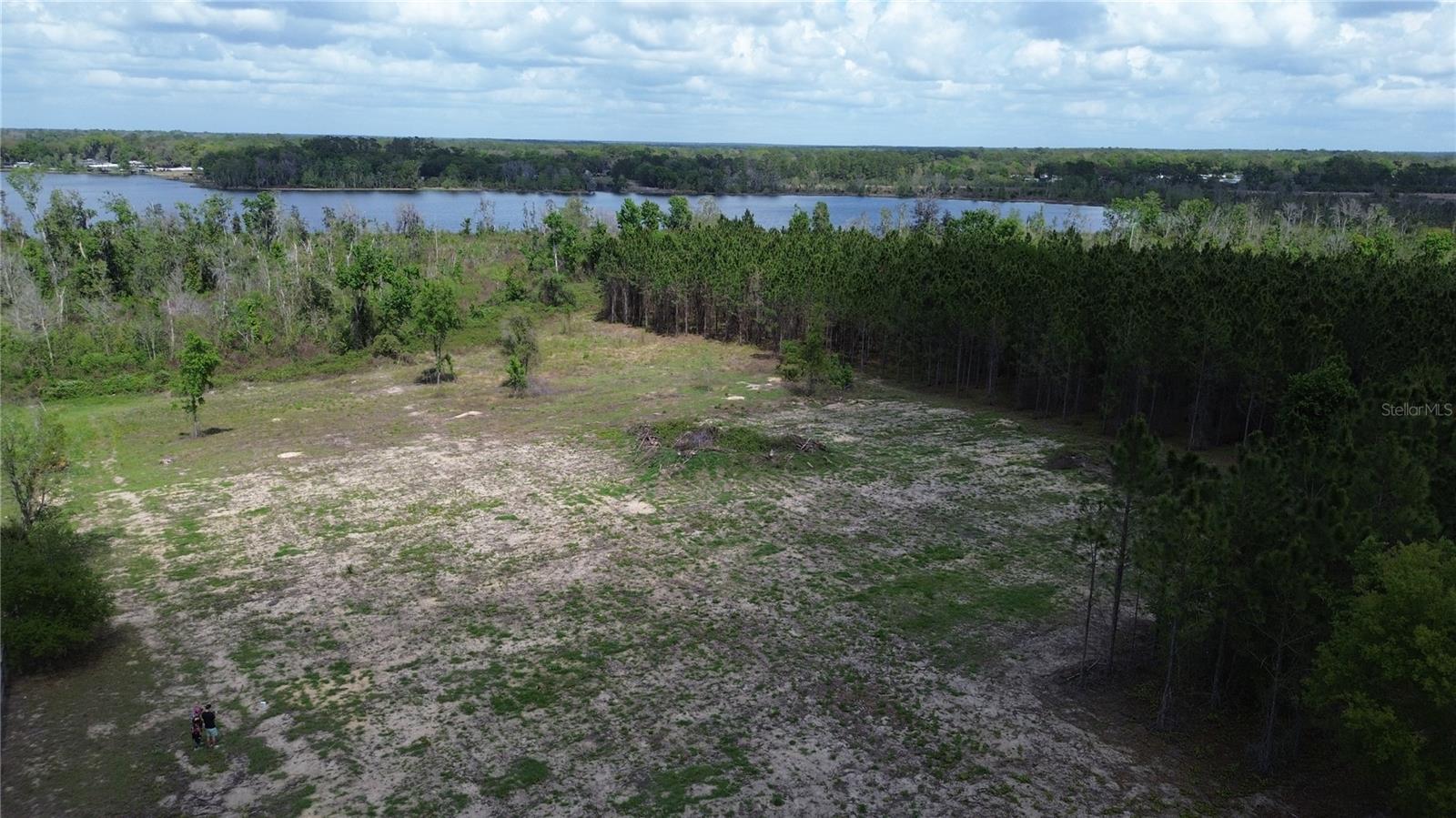 16865 SE 27TH PLACE RD, OCKLAWAHA, FL, 32179