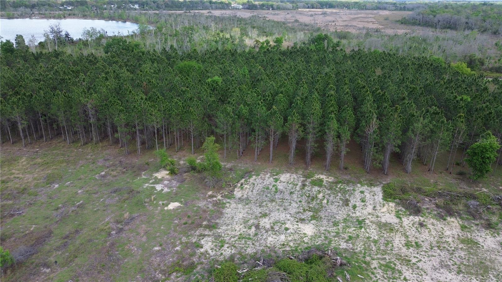 16865 SE 27TH PLACE RD, OCKLAWAHA, FL, 32179
