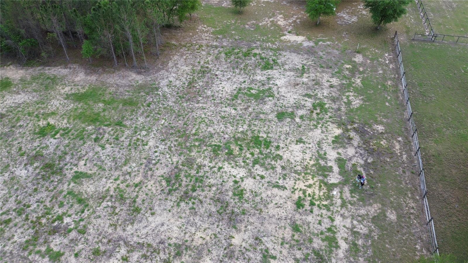 16865 SE 27TH PLACE RD, OCKLAWAHA, FL, 32179