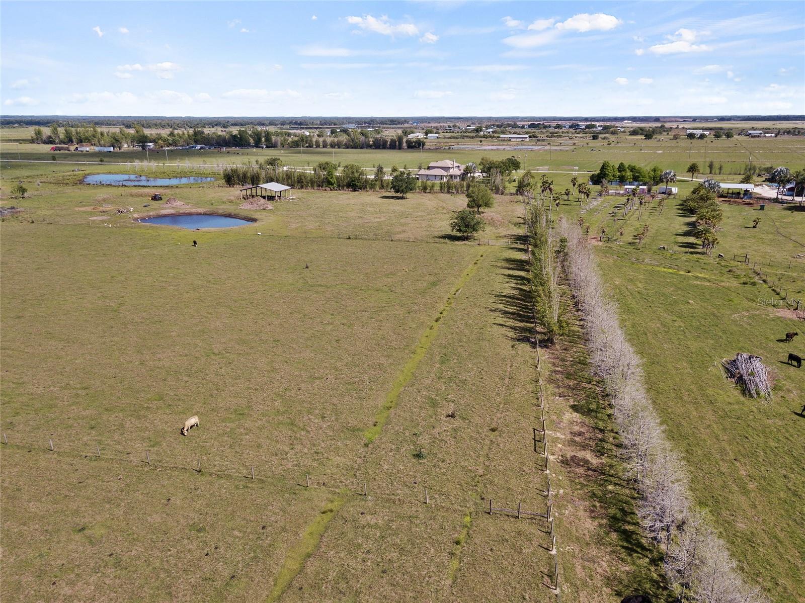 13805 MJ RD, MYAKKA CITY, FL, 34251