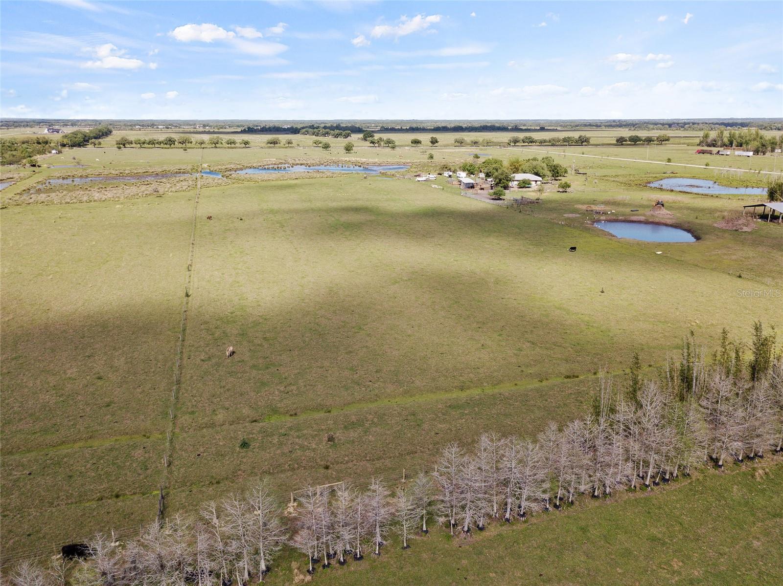 13805 MJ RD, MYAKKA CITY, FL, 34251