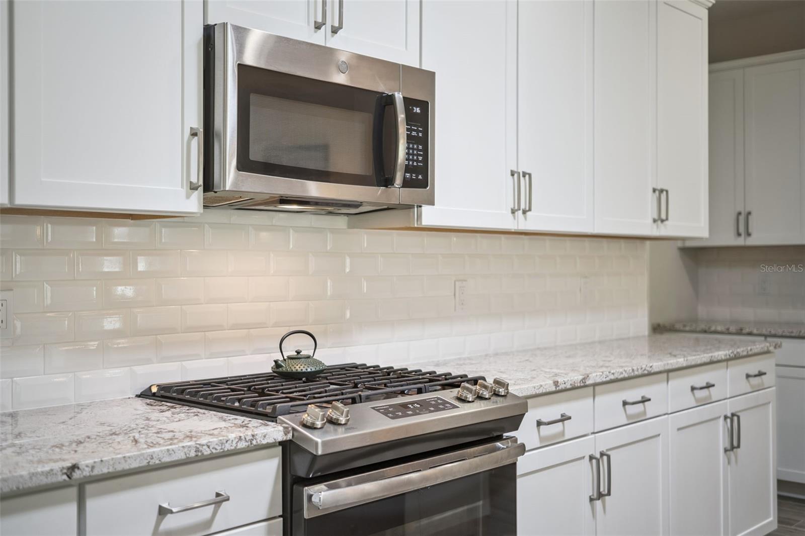 1157 AVERY MEADOWS WAY, DELAND, FL, 32724