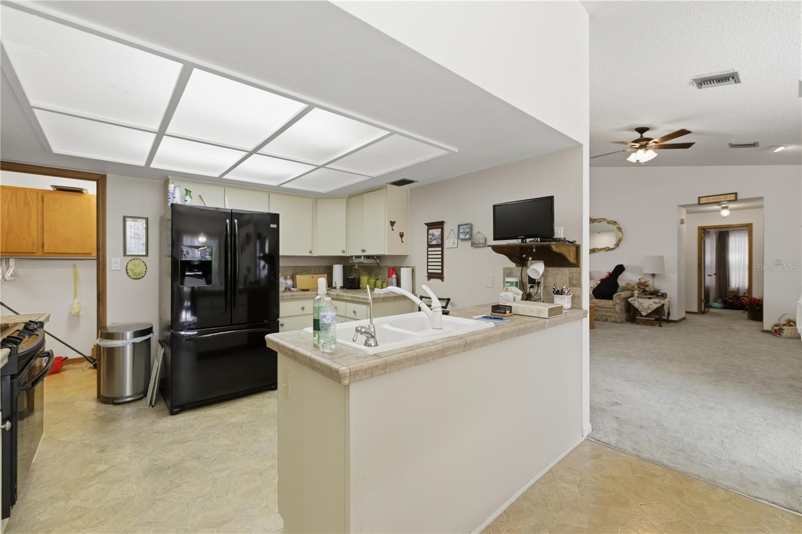 9704 WEDGEWOOD LN, LEESBURG, FL, 34788