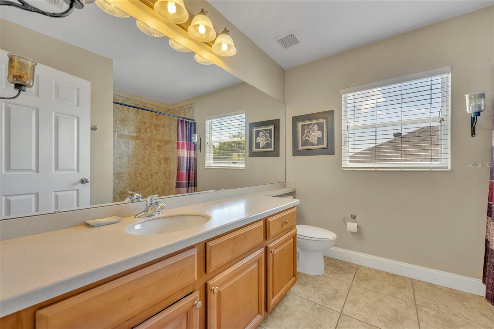 5459 RISHLEY RUN WAY, MOUNT DORA, FL, 32757