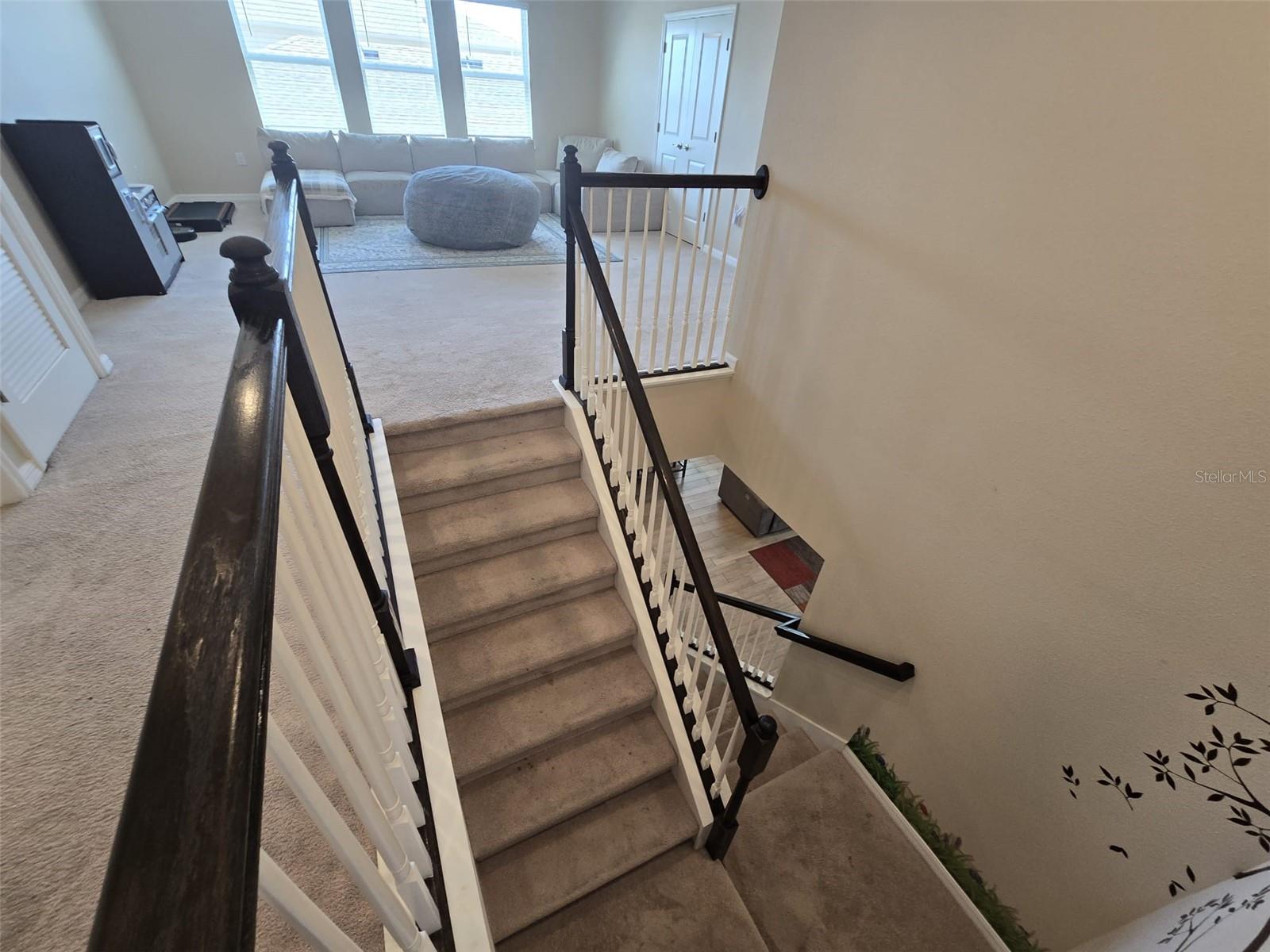 10912 HONOR RD, TAMPA, FL, 33625