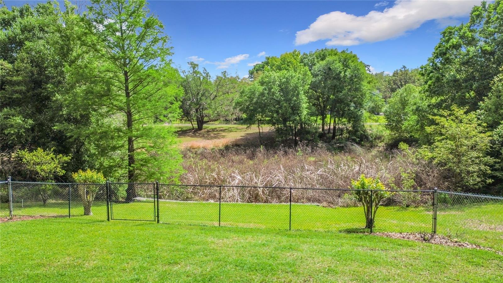 3536 PINE TREE LOOP, HAINES CITY, FL, 33844