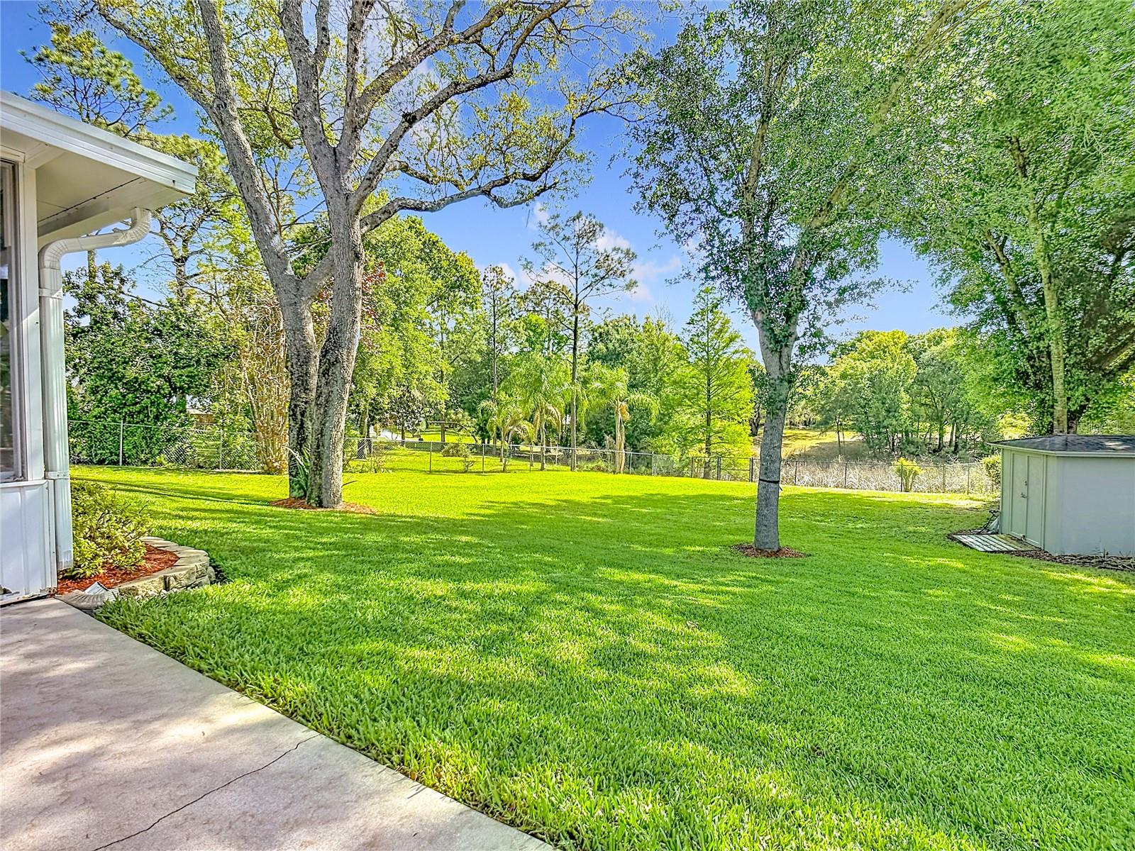 3536 PINE TREE LOOP, HAINES CITY, FL, 33844