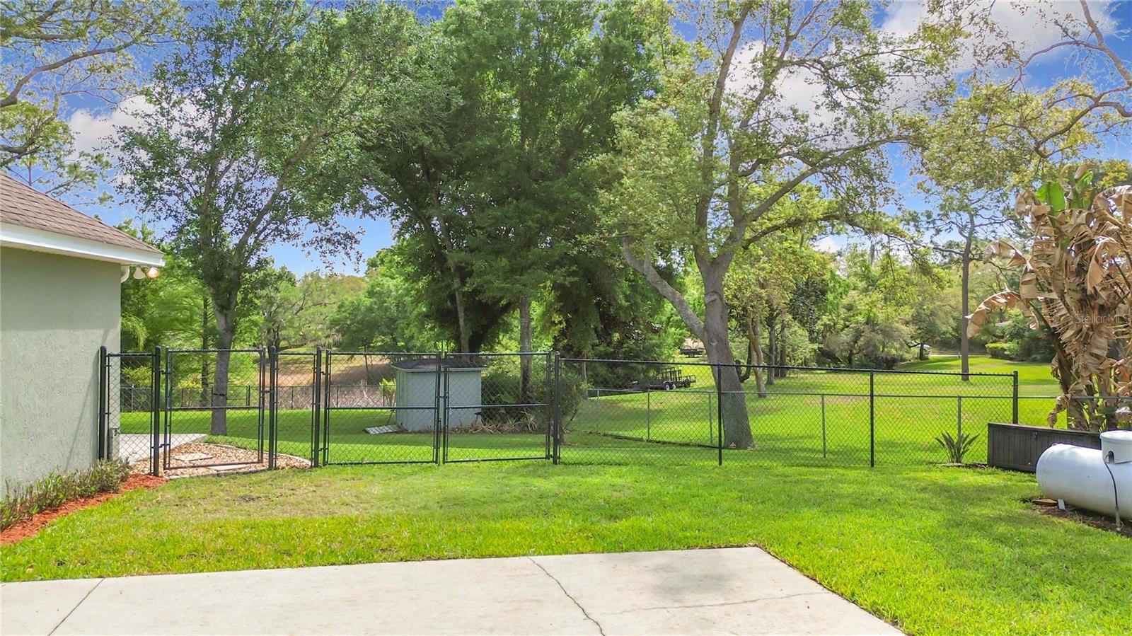 3536 PINE TREE LOOP, HAINES CITY, FL, 33844