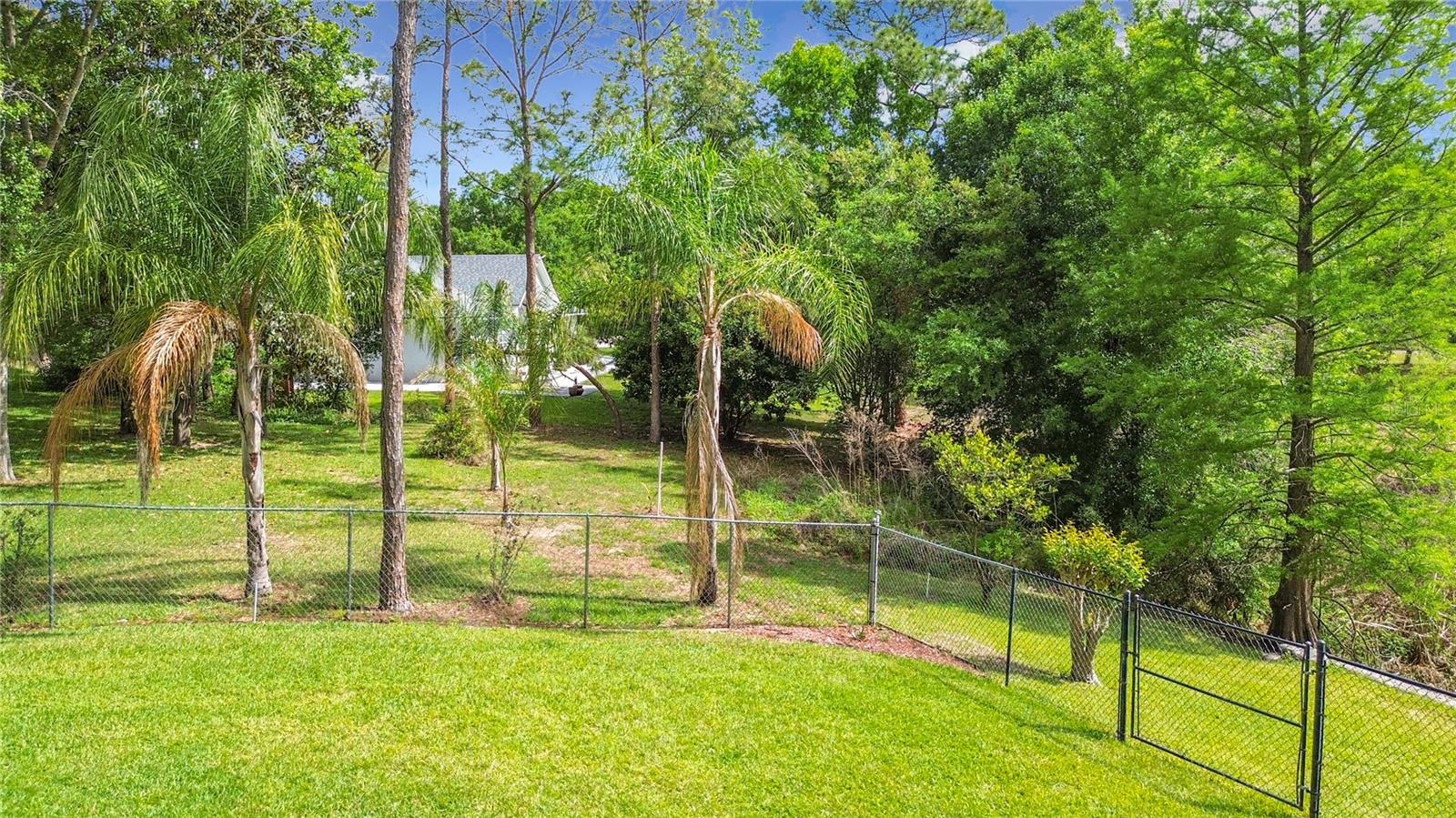 3536 PINE TREE LOOP, HAINES CITY, FL, 33844
