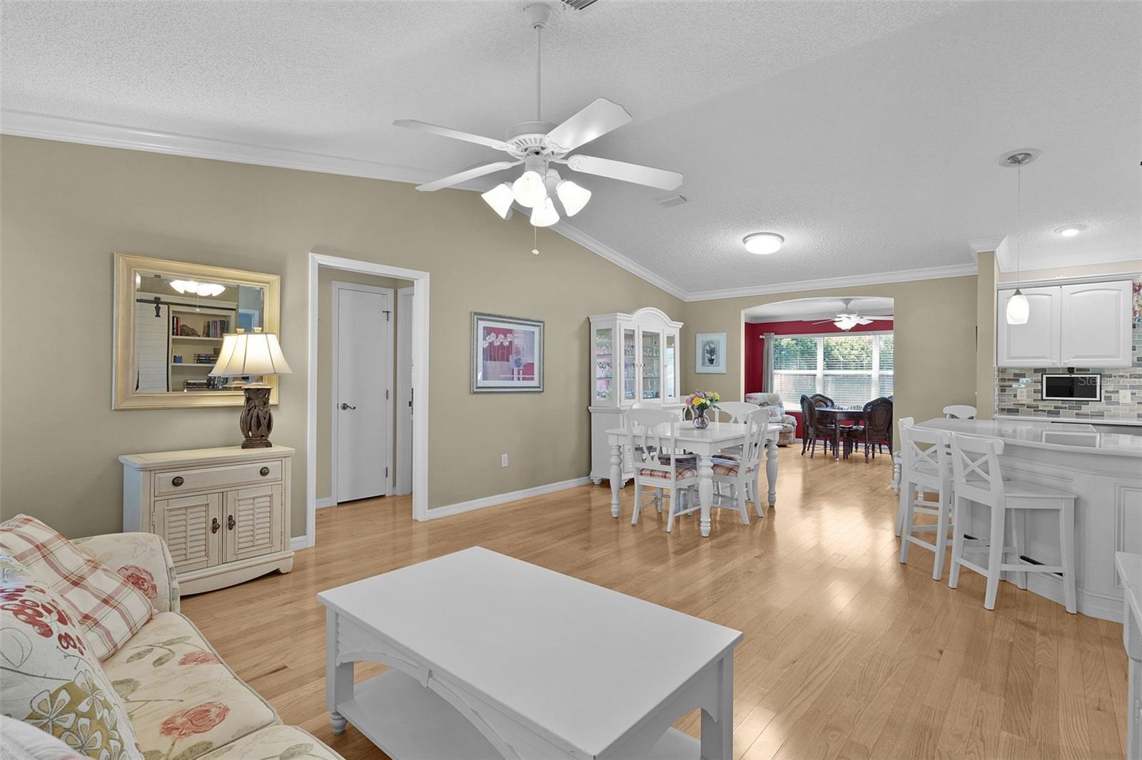 3400 RICHMOND DR, THE VILLAGES, FL, 32162