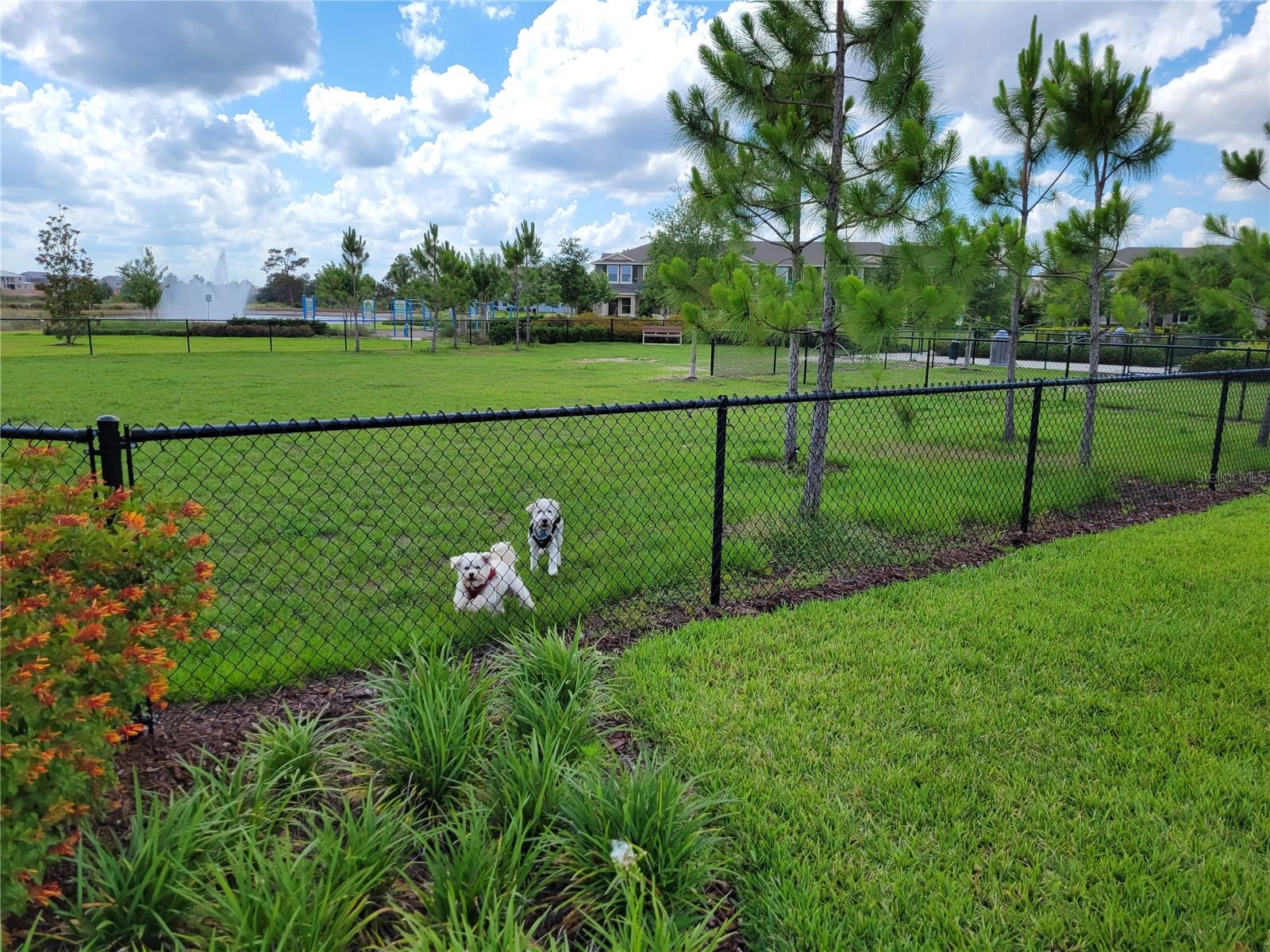 10679 ATWATER BAY DR, WINTER GARDEN, FL, 34787