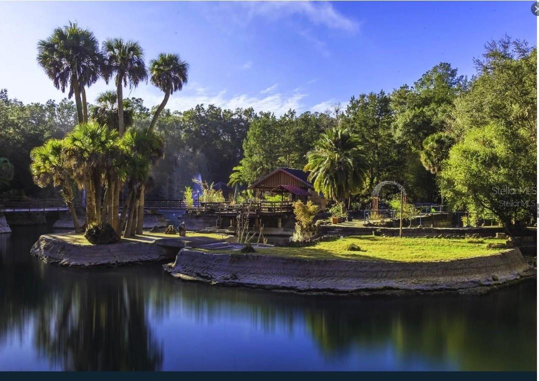 NE 88TH ST, BRONSON, FL, 32621