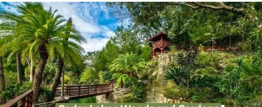 NE 88TH ST, BRONSON, FL, 32621