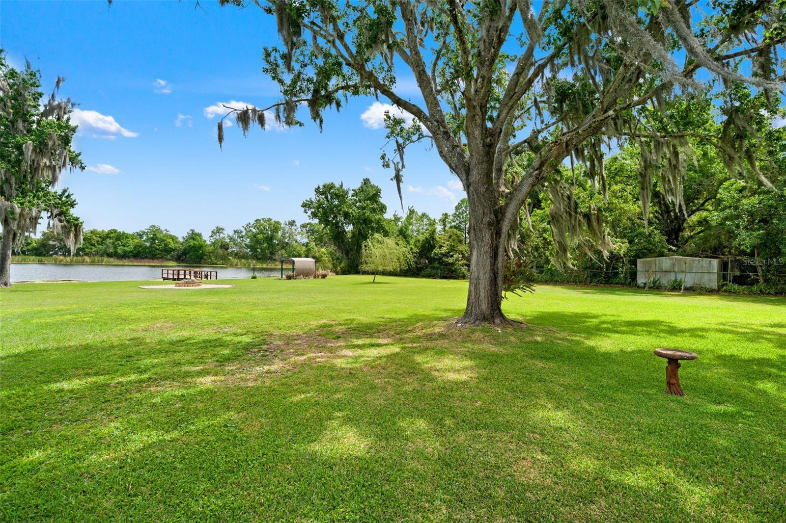 4252 ALPINE RD, LAND O LAKES, FL, 34639