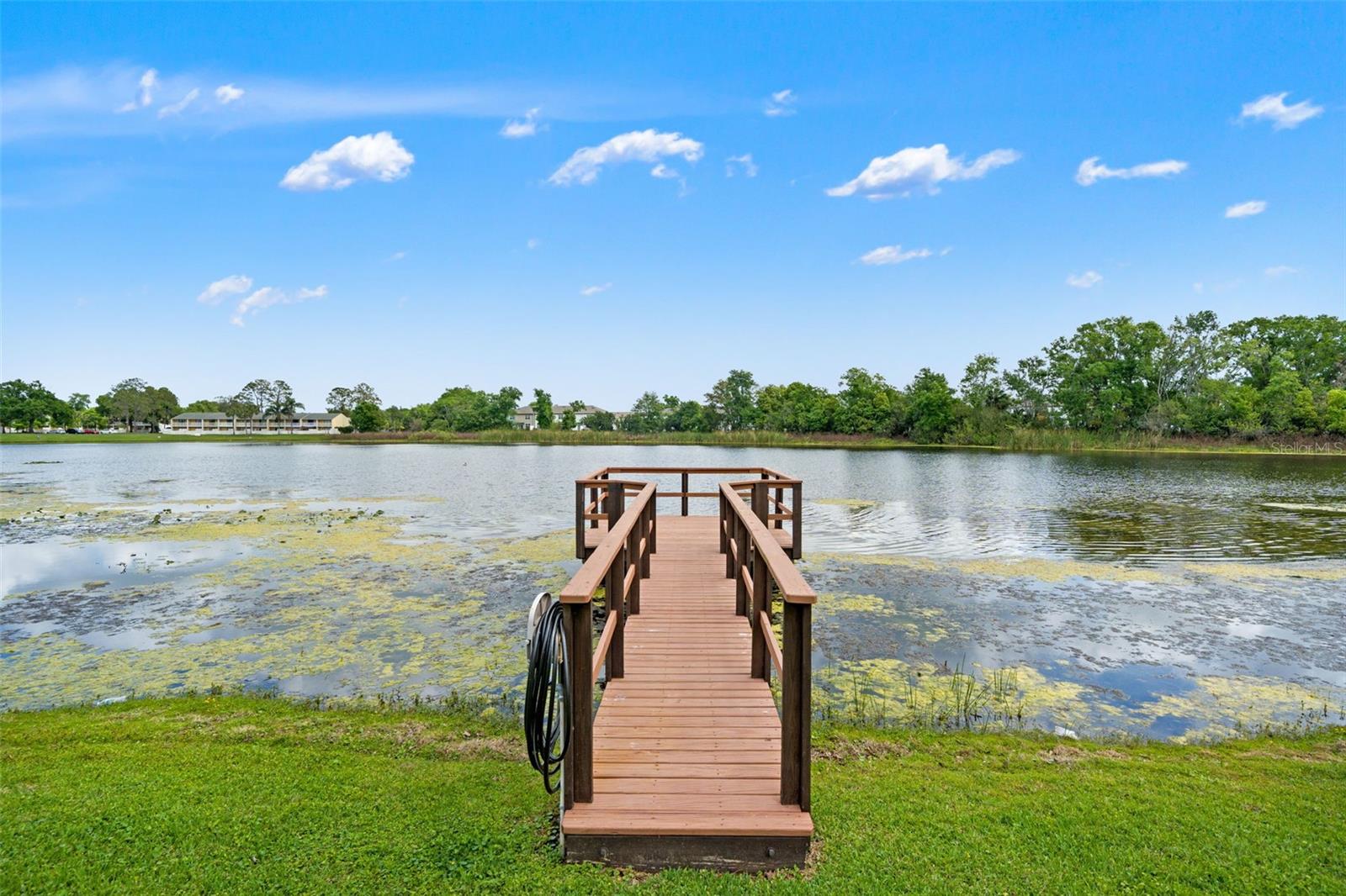 4252 ALPINE RD, LAND O LAKES, FL, 34639