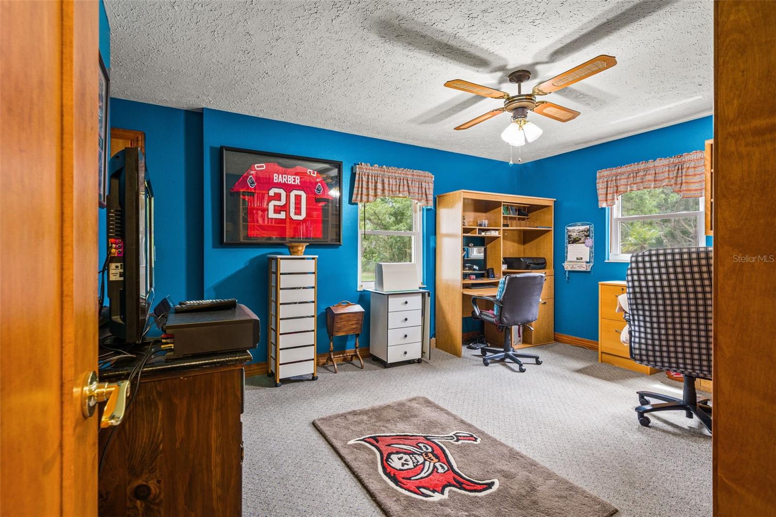 4252 ALPINE RD, LAND O LAKES, FL, 34639
