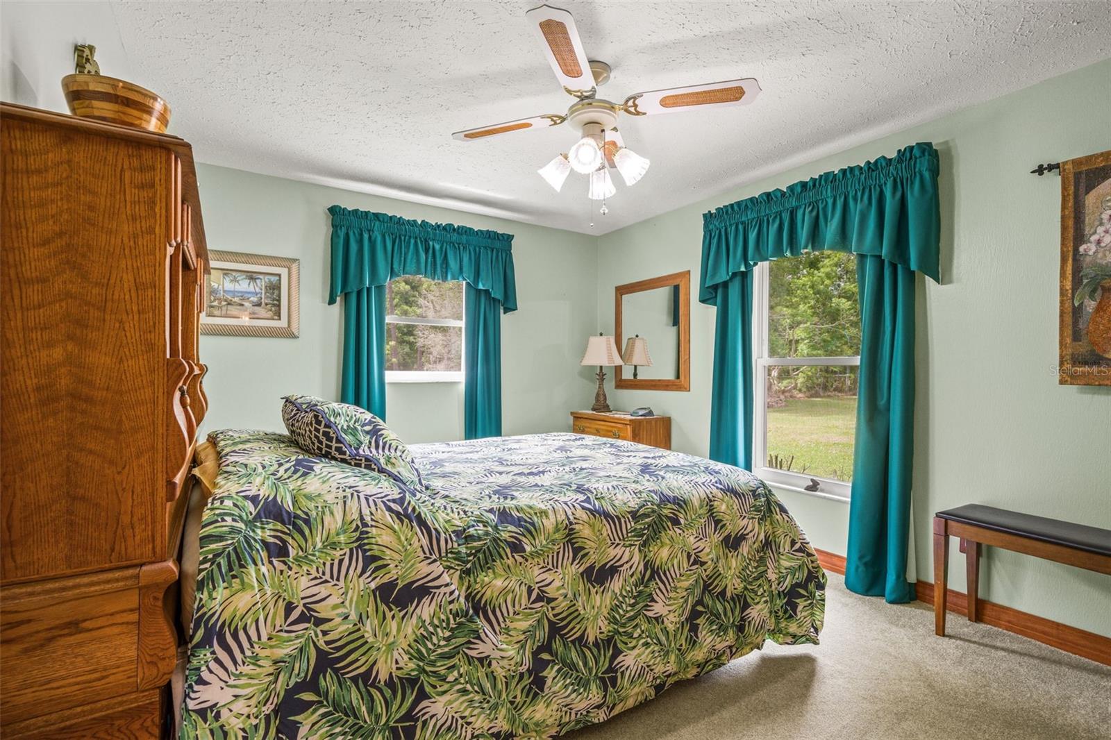 4252 ALPINE RD, LAND O LAKES, FL, 34639