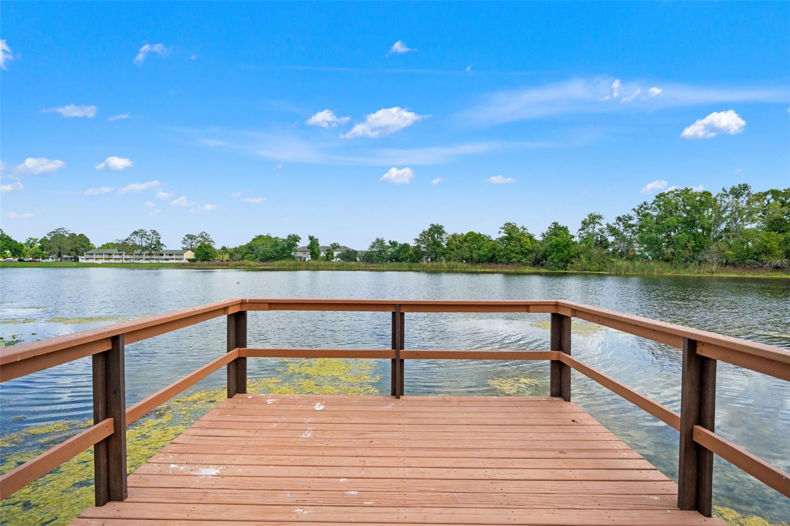 4252 ALPINE RD, LAND O LAKES, FL, 34639
