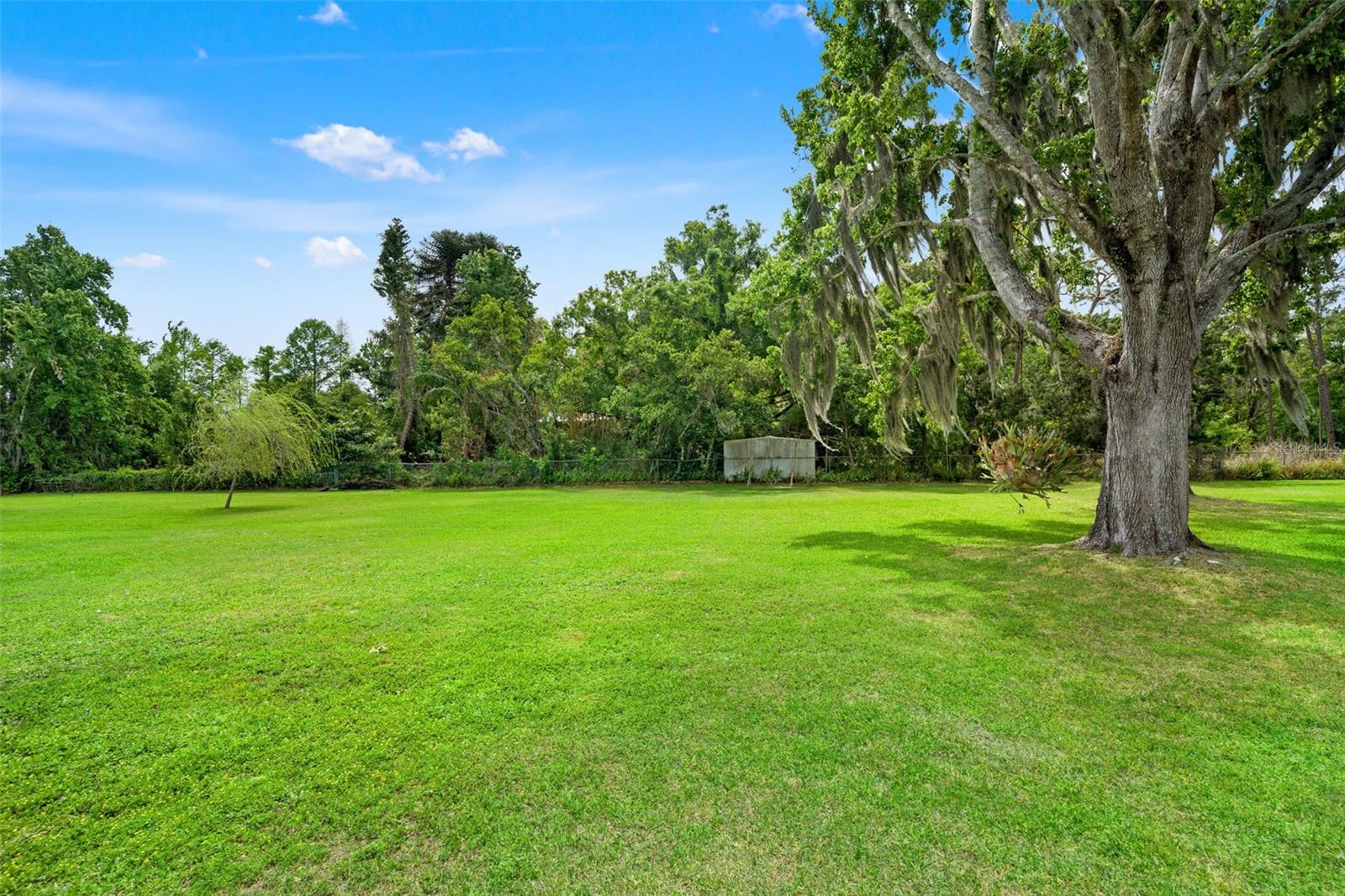 4252 ALPINE RD, LAND O LAKES, FL, 34639