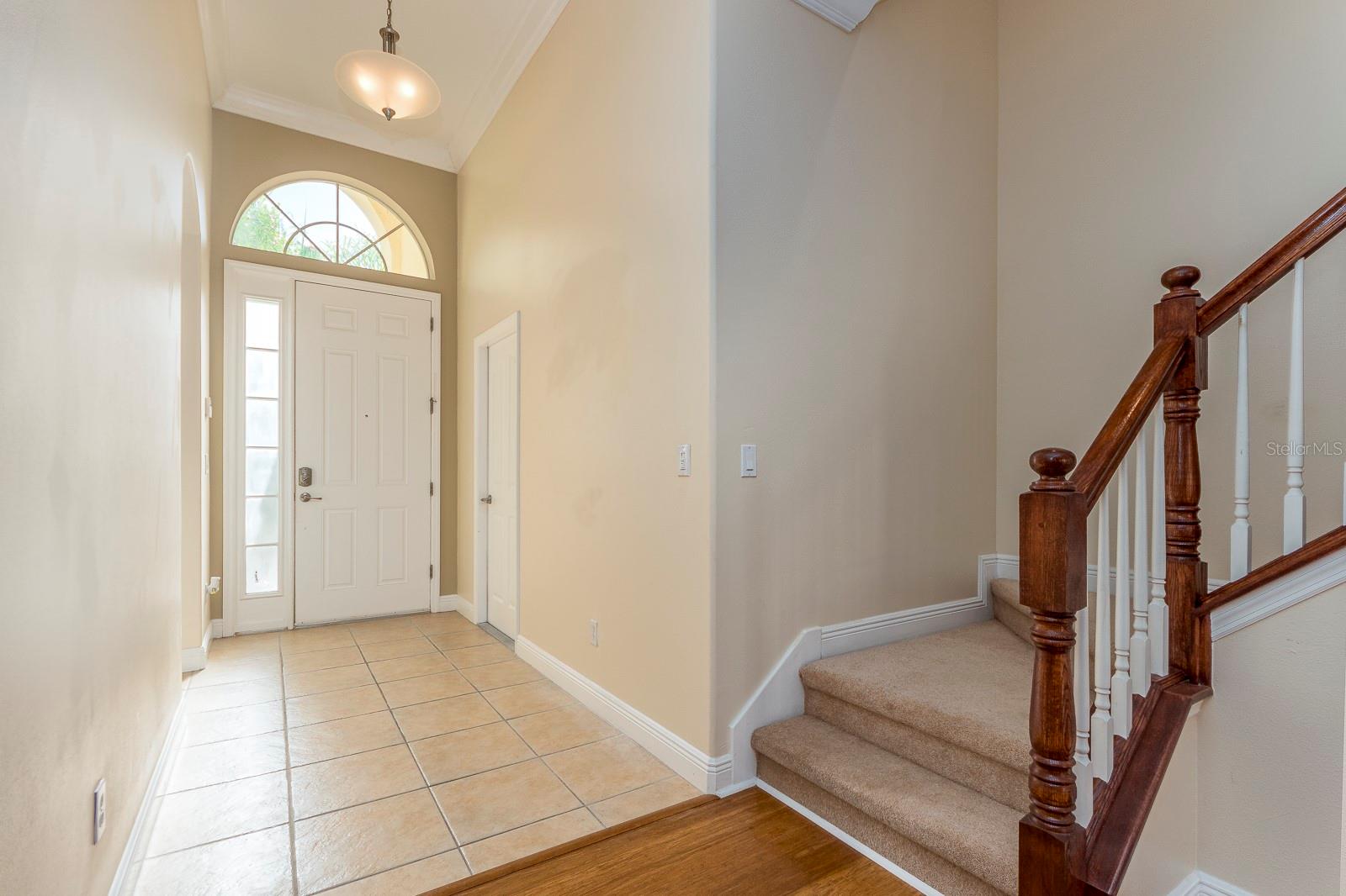 10639 HATTERAS DR, TAMPA, FL, 33615