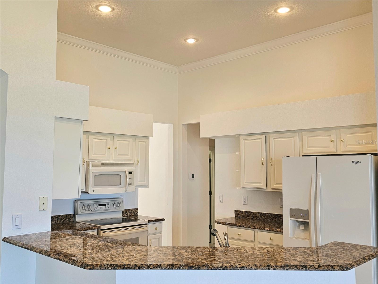 7209 COLONIAL LAKE DR, RIVERVIEW, FL, 33578