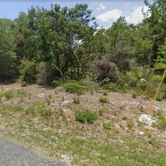 15-17-28-0200-009-00100 GEORGIA ST, PAISLEY, FL, 32767