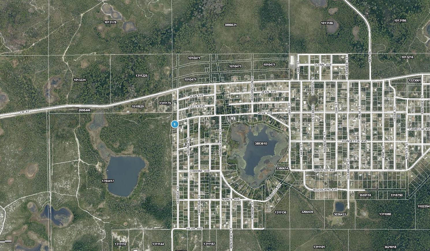 15-17-28-0200-009-00100 GEORGIA ST, PAISLEY, FL, 32767