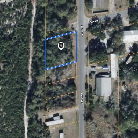 15-17-28-0200-009-00100 GEORGIA ST, PAISLEY, FL, 32767