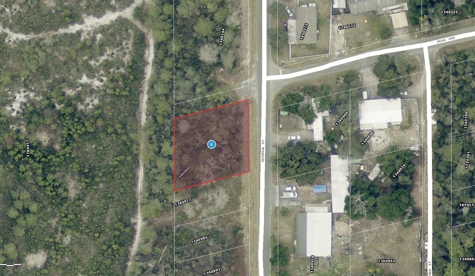 15-17-28-0200-009-00100 GEORGIA ST, PAISLEY, FL, 32767