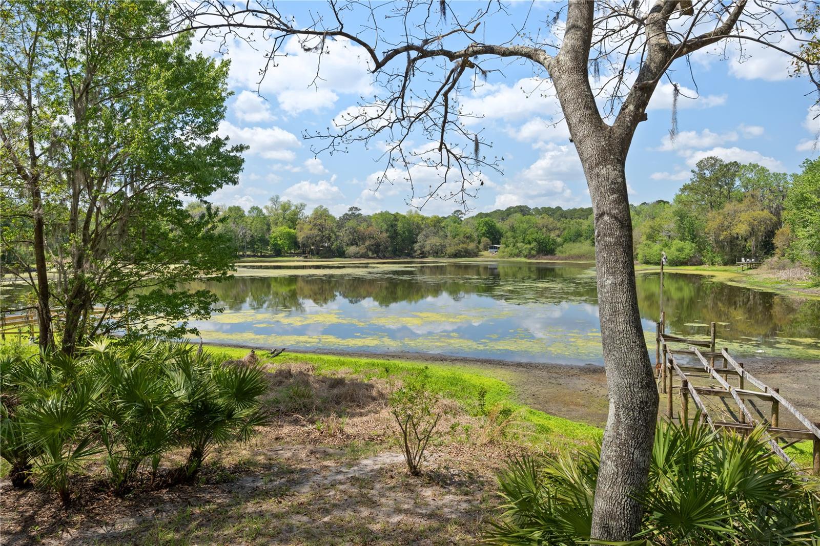 2550 SE 31ST ST, GAINESVILLE, FL, 32641