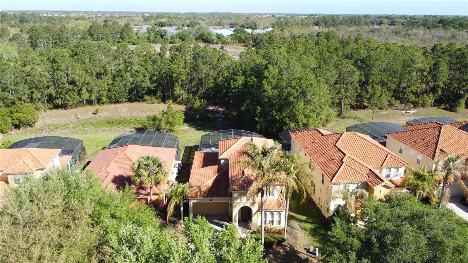 344 ORANGE COSMOS BLVD, DAVENPORT, FL, 33837