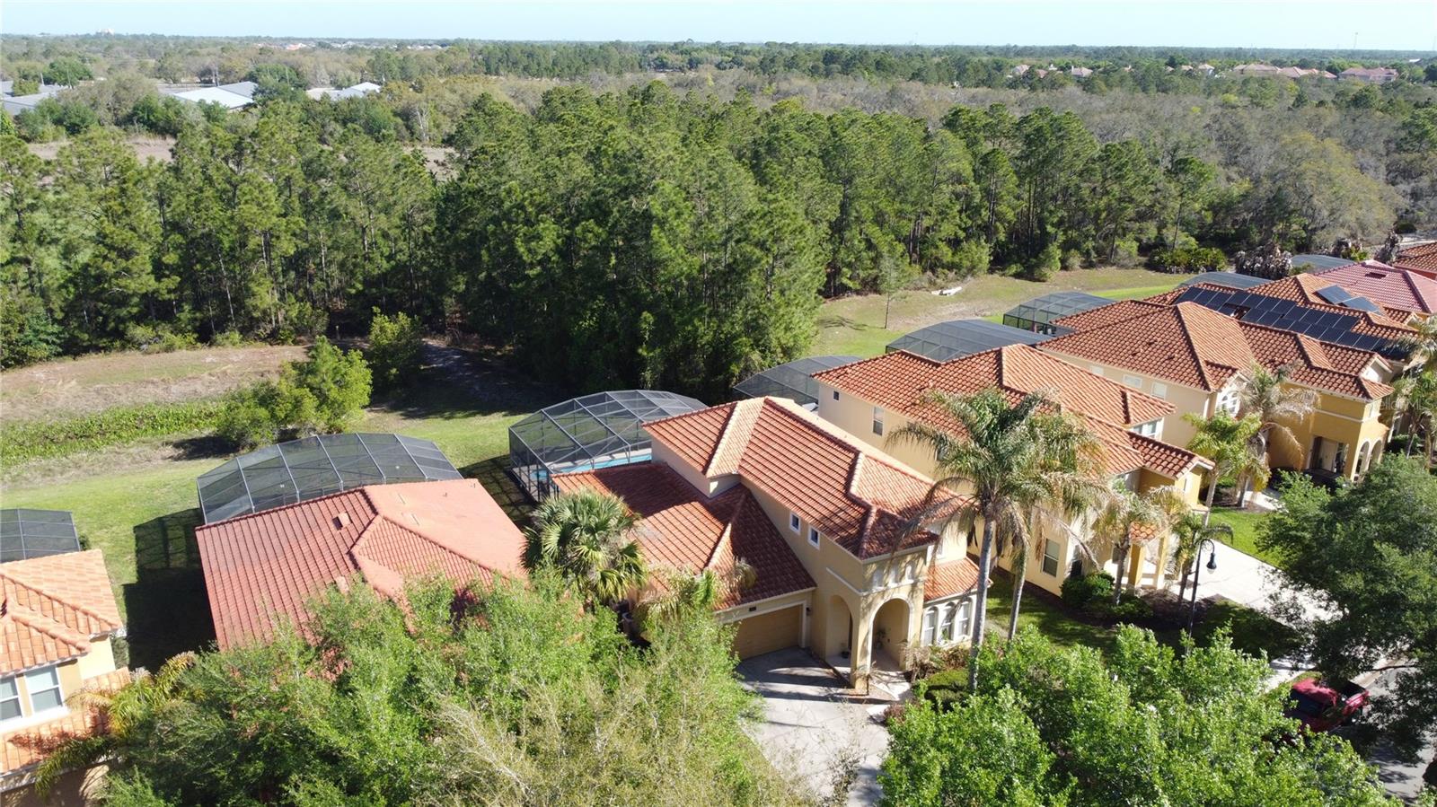 344 ORANGE COSMOS BLVD, DAVENPORT, FL, 33837