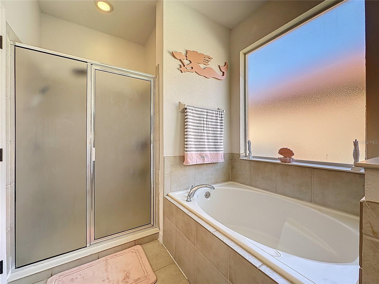 344 ORANGE COSMOS BLVD, DAVENPORT, FL, 33837