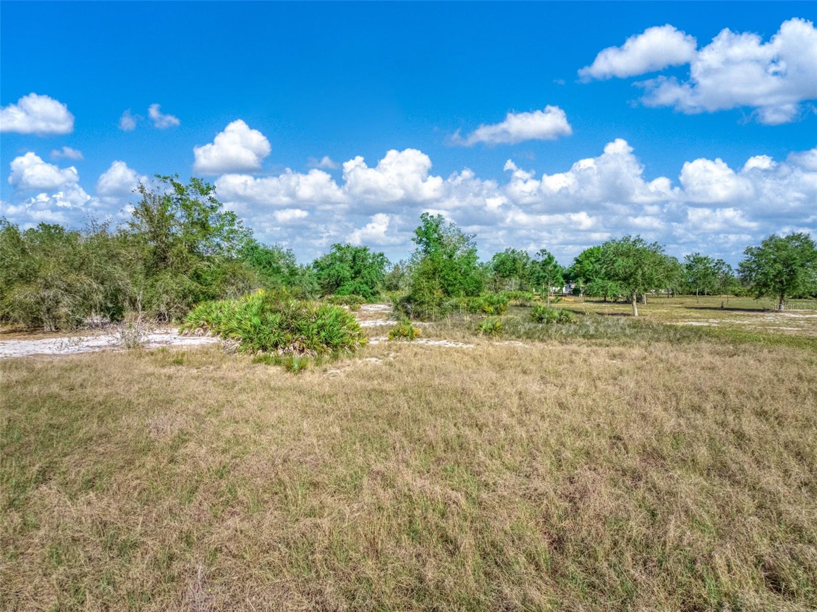 523 S DICKEY RD, AVON PARK, FL, 33825