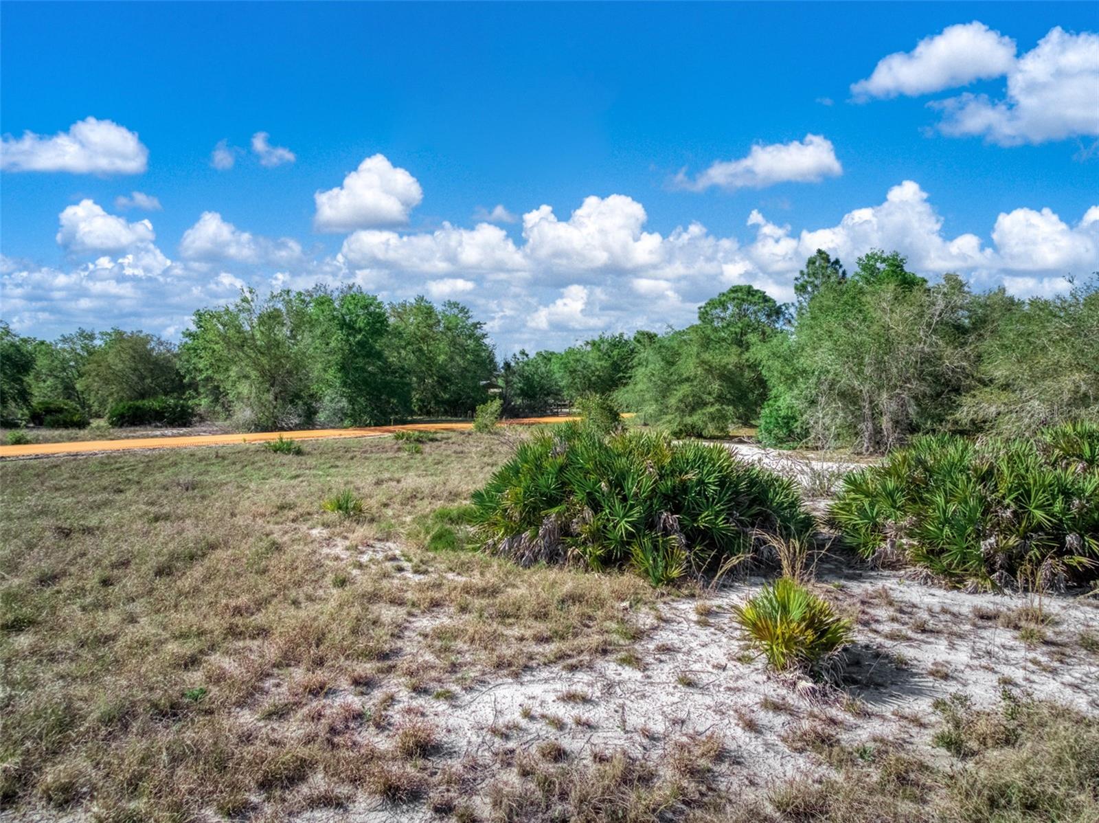 523 S DICKEY RD, AVON PARK, FL, 33825