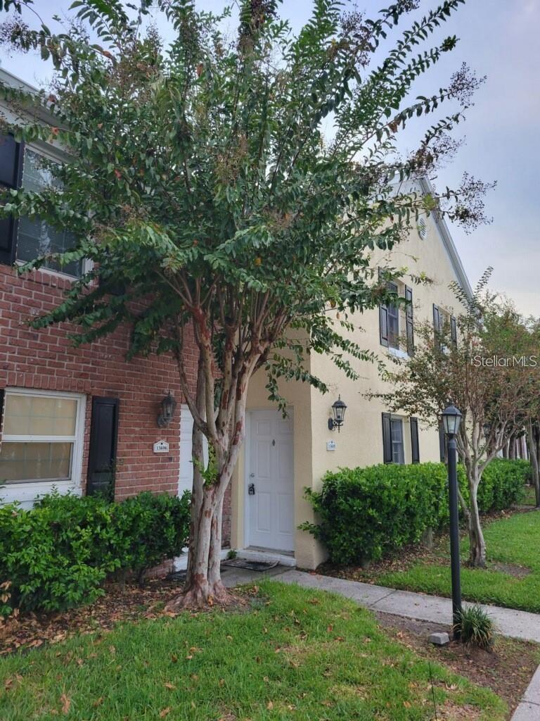 13698 ORANGE SUNSET DR, TAMPA, FL, 33618