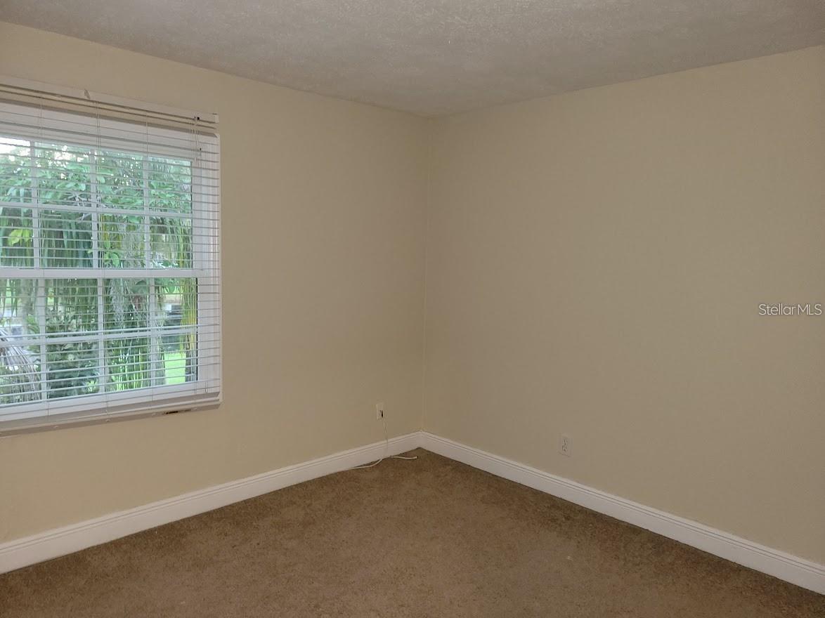 13698 ORANGE SUNSET DR, TAMPA, FL, 33618