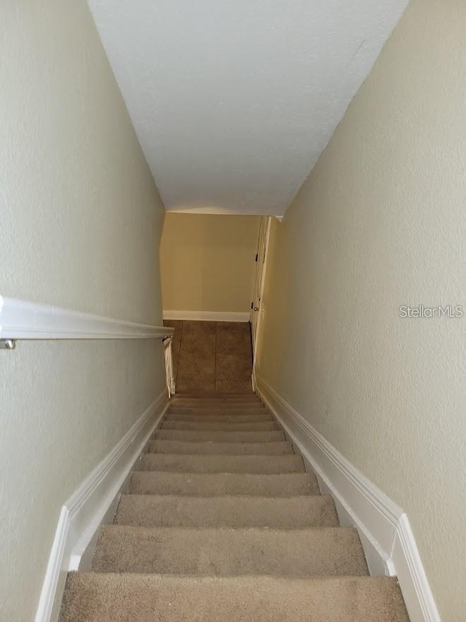 13698 ORANGE SUNSET DR, TAMPA, FL, 33618
