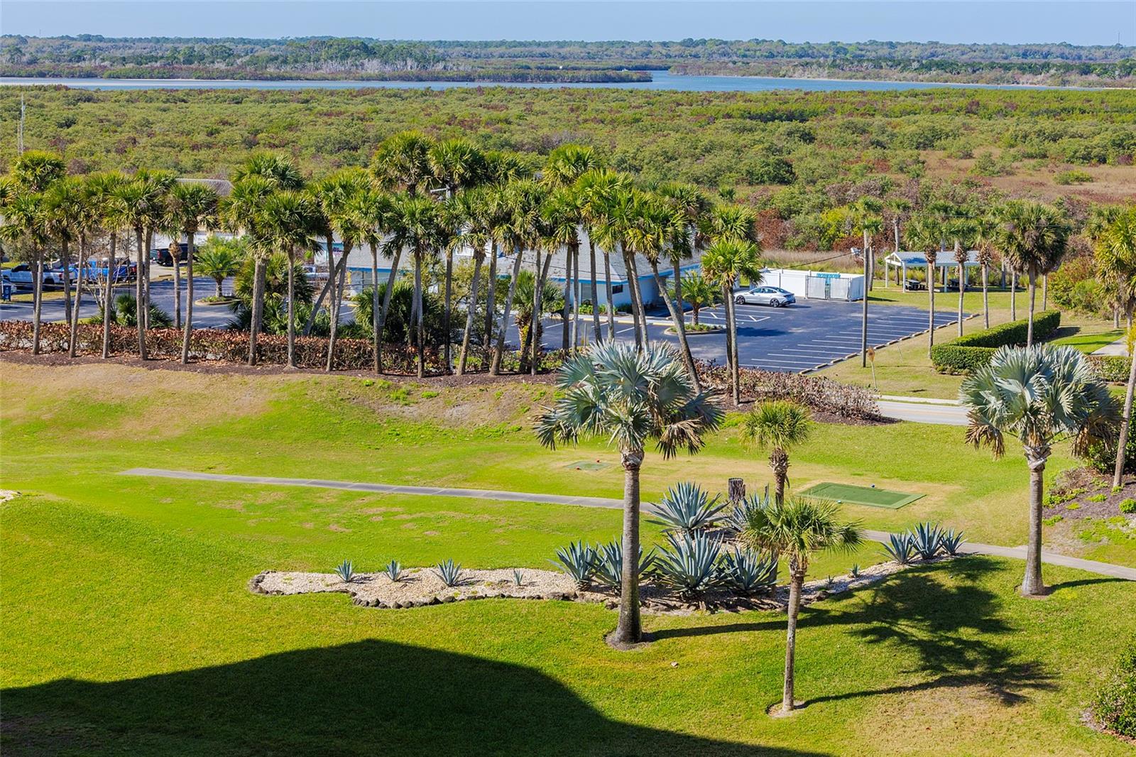 4650 LINKS VILLAGE DR #D703, PONCE INLET, FL, 32127