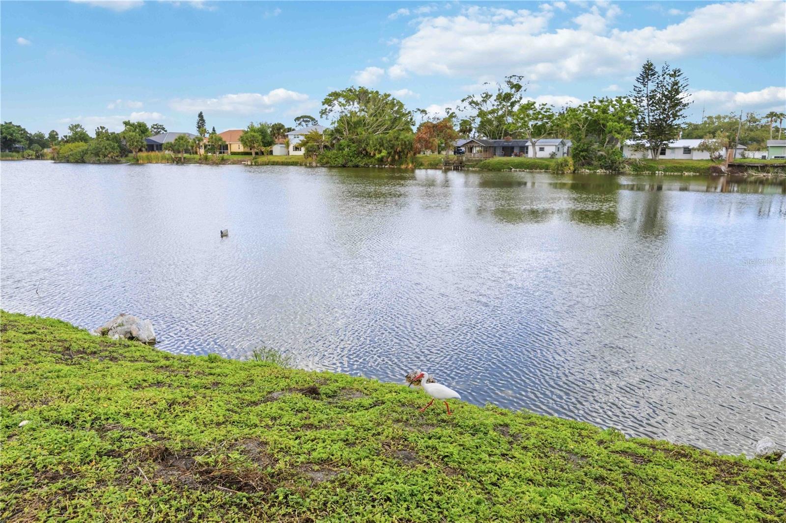 2273 LAKEWOOD DR, NOKOMIS, FL, 34275
