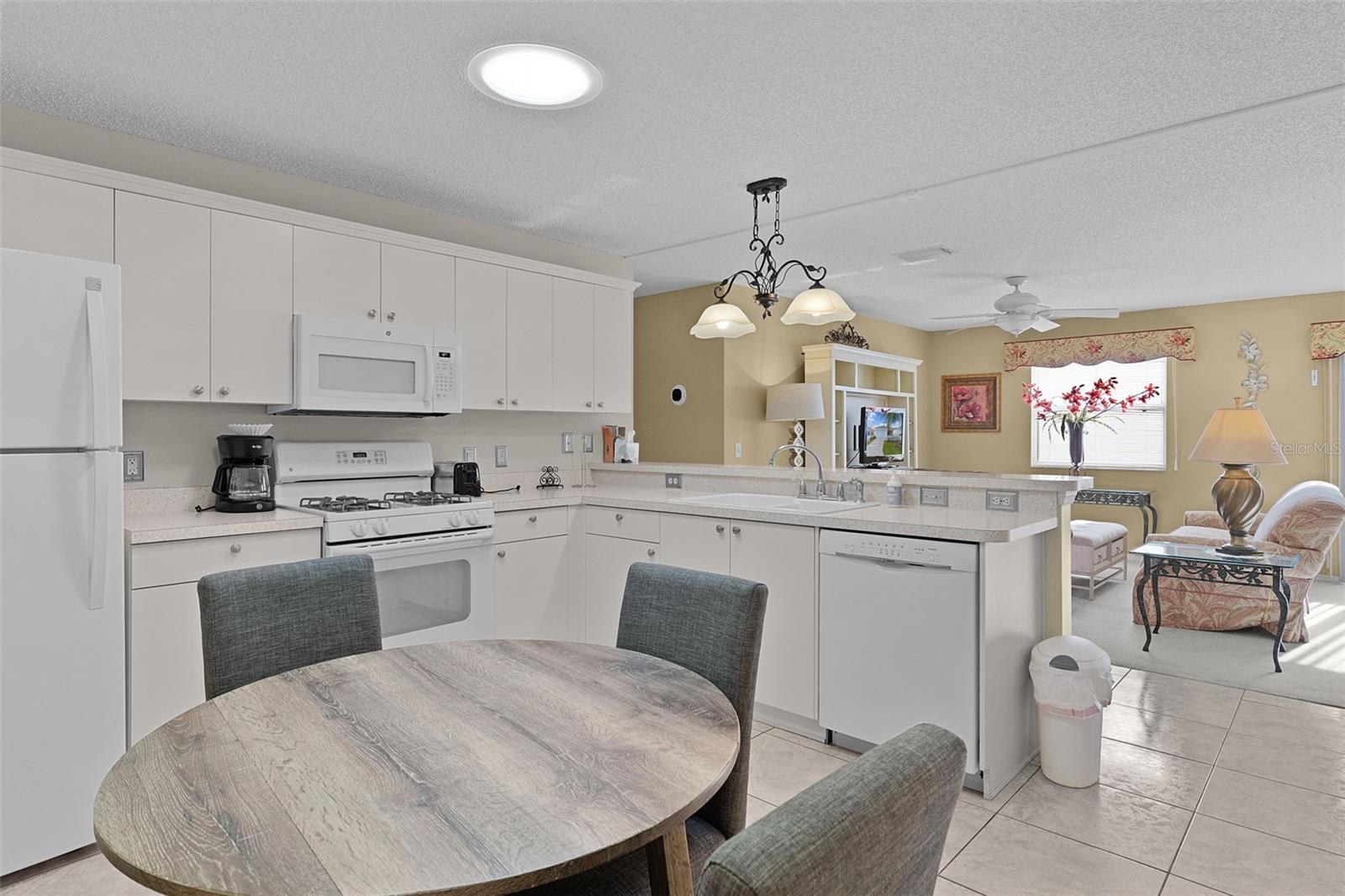 2623 ASCOT LOOP, THE VILLAGES, FL, 32162