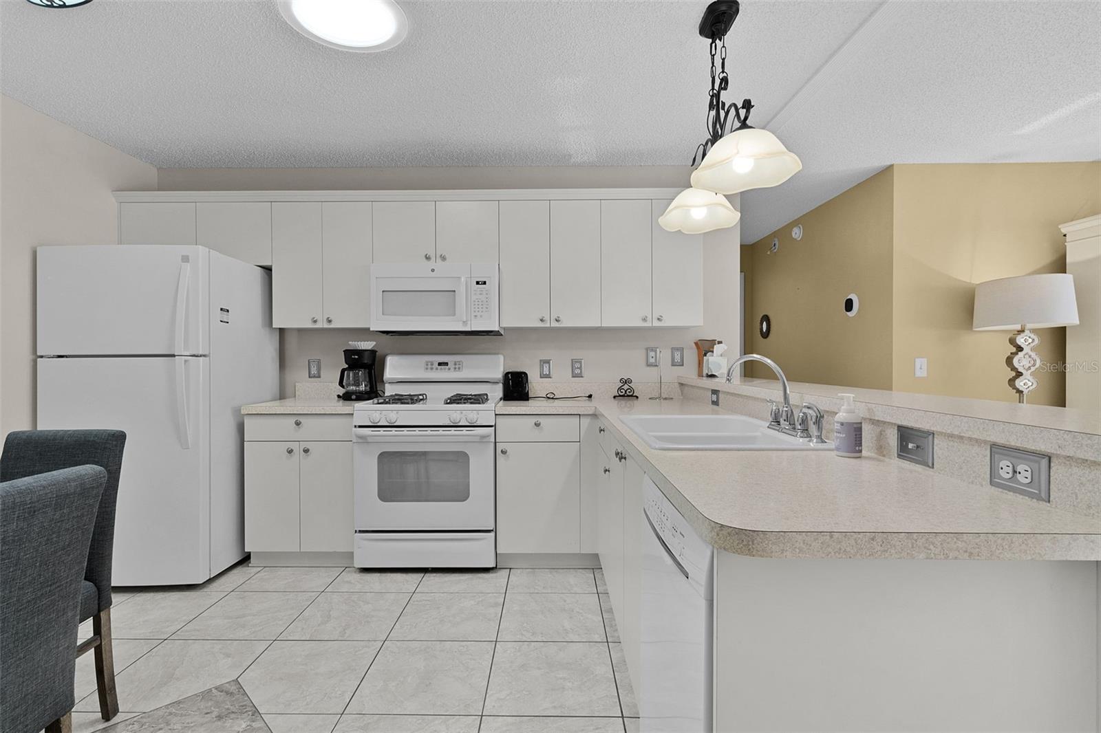2623 ASCOT LOOP, THE VILLAGES, FL, 32162