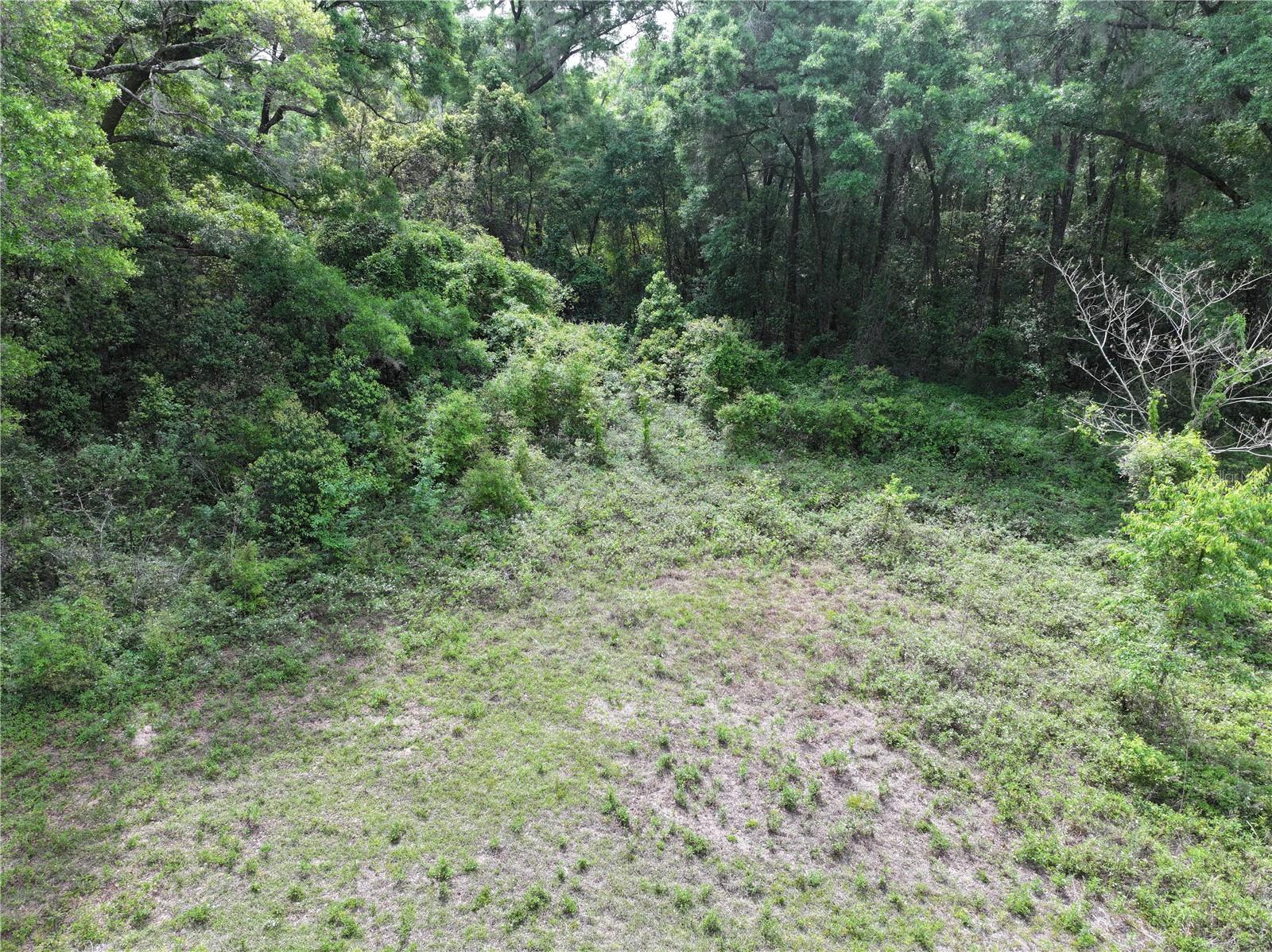 15825 NW 38TH AVE, REDDICK, FL, 32686