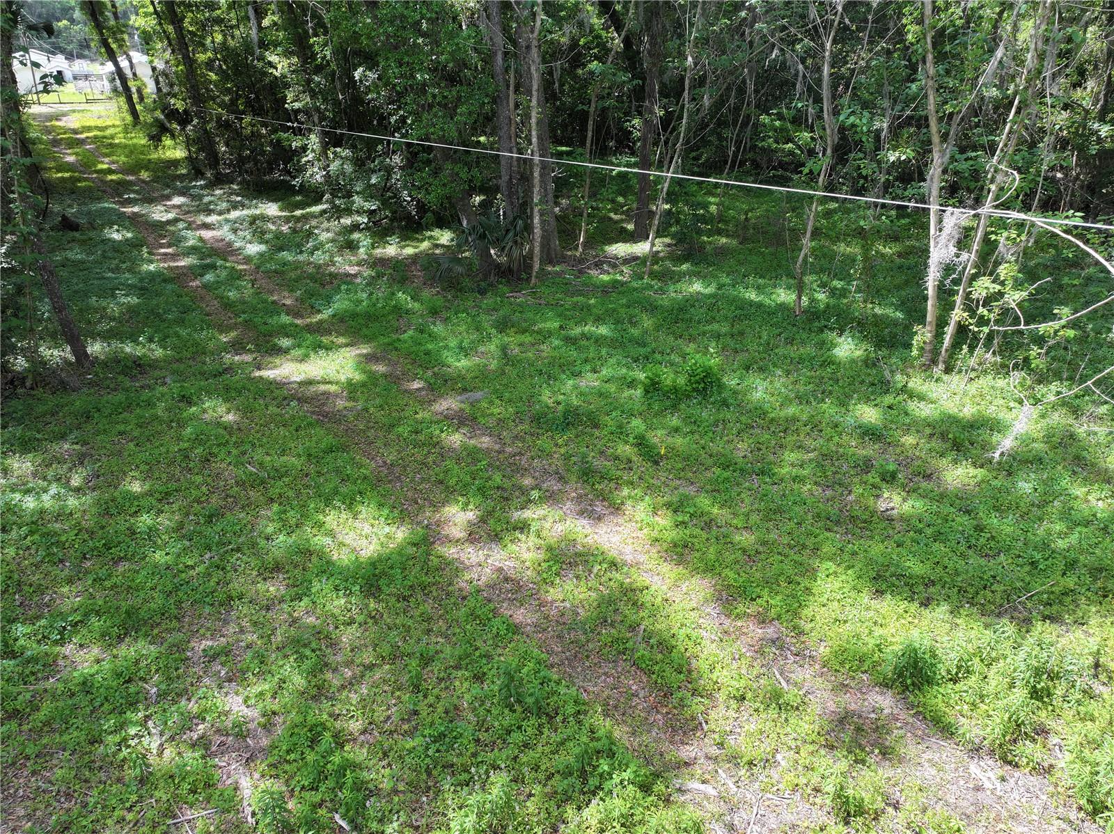 15825 NW 38TH AVE, REDDICK, FL, 32686