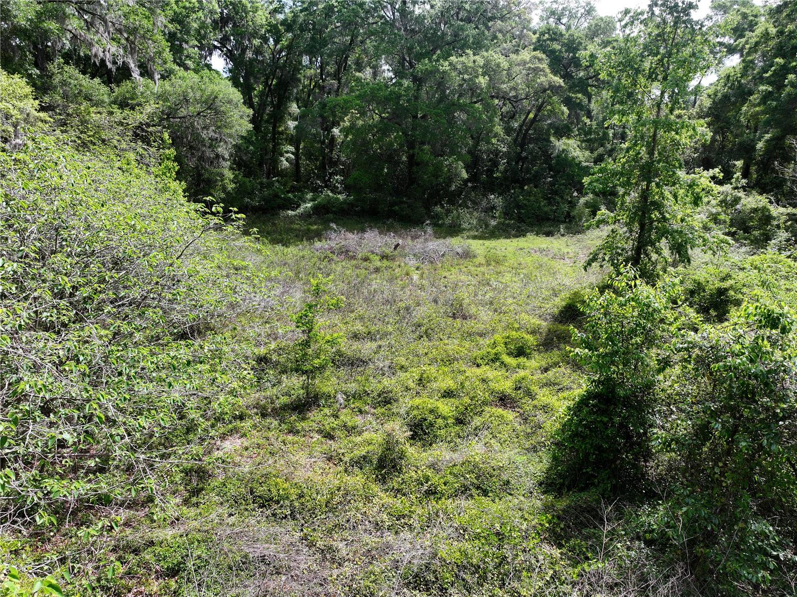 15825 NW 38TH AVE, REDDICK, FL, 32686