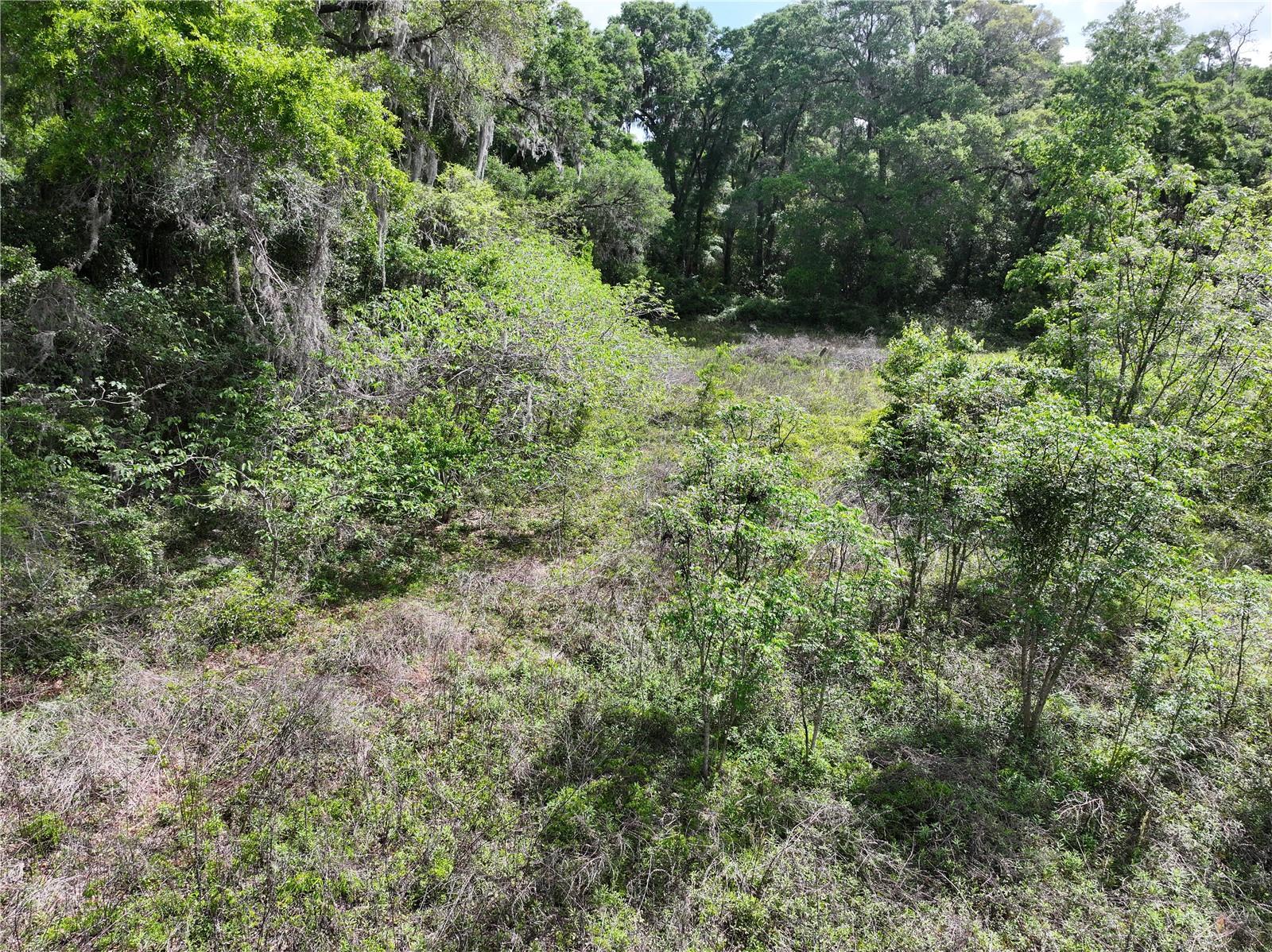 15825 NW 38TH AVE, REDDICK, FL, 32686