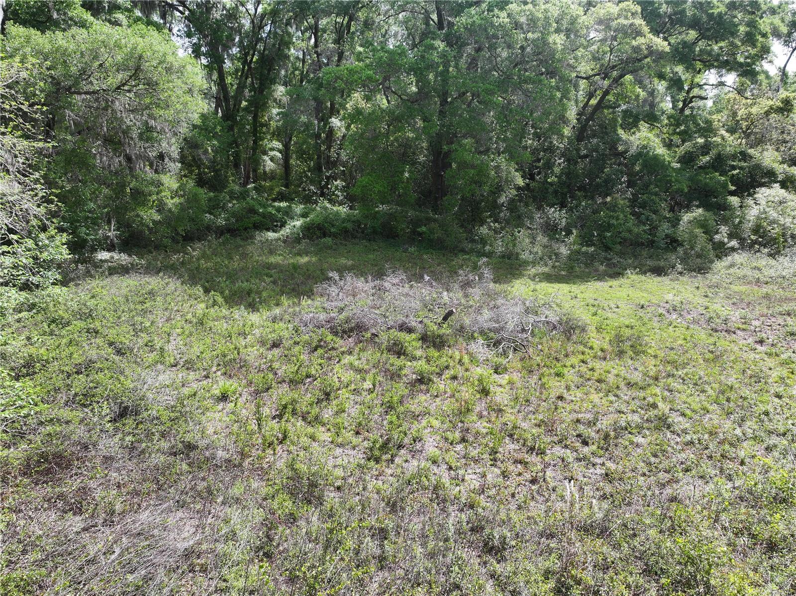 15825 NW 38TH AVE, REDDICK, FL, 32686