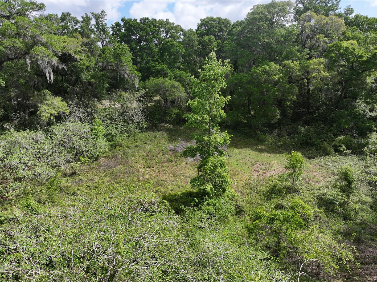 15825 NW 38TH AVE, REDDICK, FL, 32686